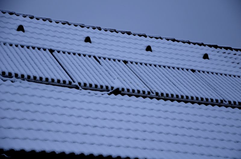 Ice Guard Installation in Renton, WA