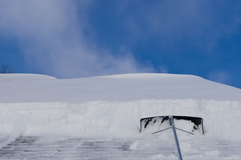 Local Roof Snow Raking in Franklinton, NC