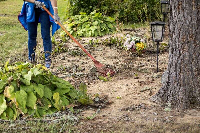 Local Snow Clearing Service in Forest Lake, MN
