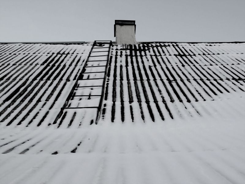 Snow Guard Installation in Renton, WA